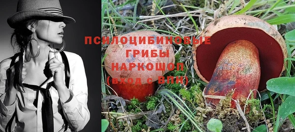героин Покачи