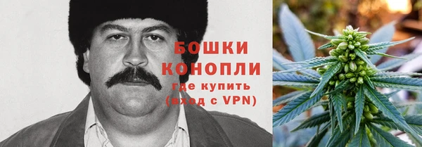 героин Покачи