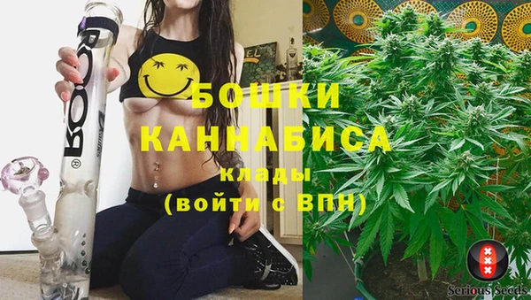 сатива Покров