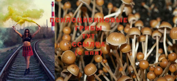 индика Покровск