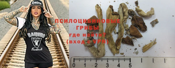 сатива Покров