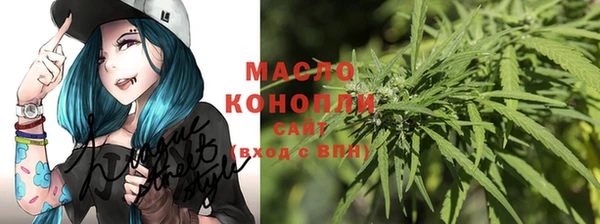 индика Покровск