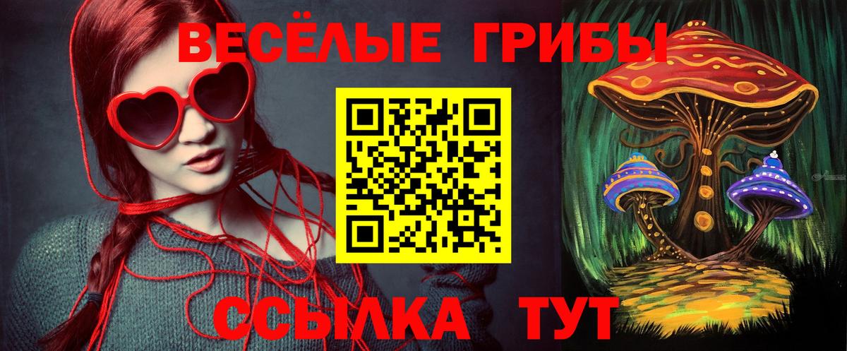 Псилоцибиновые грибы мухоморы  Вход с VPN  Александров 