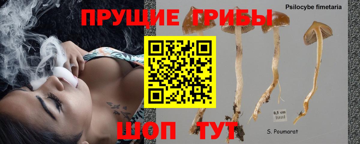 Псилоцибиновые грибы мухоморы Александров